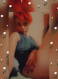 ALX - companion in Cape Town Photo 10 of 17