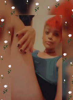 ALX - companion in Cape Town Photo 13 of 17