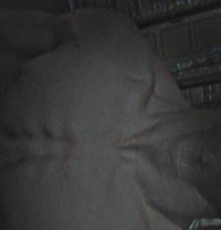 Alyan - Male adult performer in Islamabad