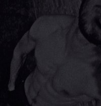 Alyan - Male adult performer in Islamabad