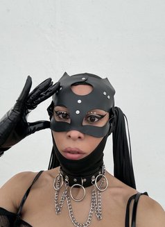 Alyx - Transsexual escort in Paris Photo 4 of 4