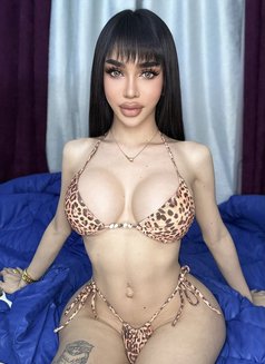 Am July Ladyboy now in Dubai🇦🇪 - Acompañantes transexual in Dubai Photo 13 of 14