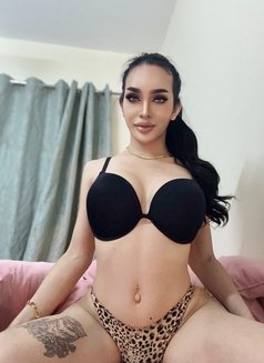 Am July Ladyboy Thailand - Acompañantes transexual in Dubai Photo 5 of 10