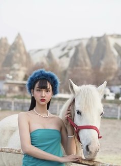 Am Kiko Asian Model Girl - escort in İstanbul Photo 7 of 7