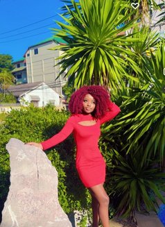 Am Rose From Pattaya - escort in Pattaya Photo 1 of 4