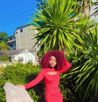 Am Rose From Pattaya - escort in Pattaya Photo 1 of 4