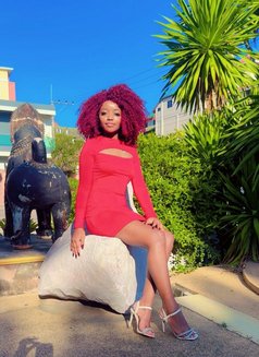 Am Rose From Pattaya - escort in Pattaya Photo 2 of 4