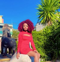 Am Rose From Pattaya - escort in Pattaya