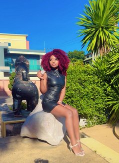 Am Rose From Pattaya - escort in Pattaya Photo 3 of 4