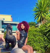 Am Rose From Pattaya - escort in Pattaya