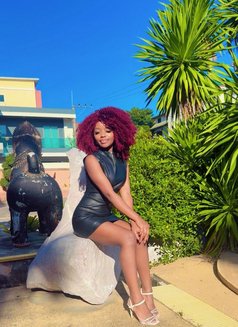 Am Rose From Pattaya - escort in Pattaya Photo 4 of 4