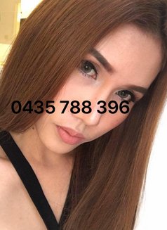 Amada - Transsexual escort in Sydney Photo 12 of 15