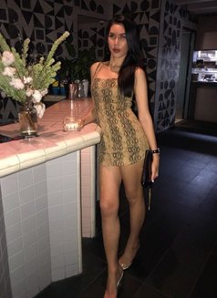 Amada - Transsexual escort in Sydney Photo 13 of 15