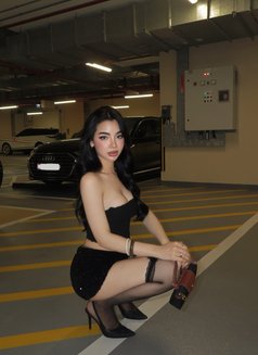 Amaina Th - Transsexual escort in Abu Dhabi Photo 14 of 14