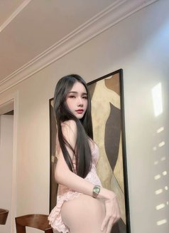 New ladyboy vip🦋 - masseuse in Riyadh Photo 11 of 21
