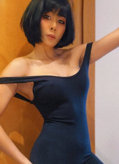 🦋AMANDA🦋 INDEPENDENCE 🇹🇭 - escort in Dubai Photo 14 of 15