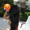 Lexy hot (Kilimani/Kileleshwa) - escort in Kilimani