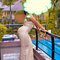 AMANDA NEW ARRIVAL - escort in Mauritius Photo 4 of 4