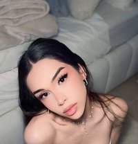 Amanda Premium - Transsexual escort in Jeddah