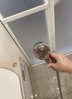 Amanda's Full Servicers - escort in Abu Dhabi Photo 4 of 6