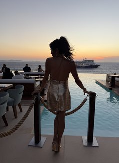 Amanda Ts - Transsexual escort in Monaco Photo 13 of 13
