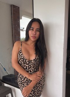 Amanda Walker 1 - Intérprete transexual de adultos in Manila Photo 1 of 5