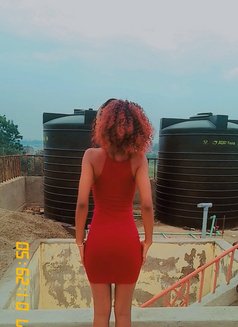 Amanza - escort in Nairobi Photo 1 of 3