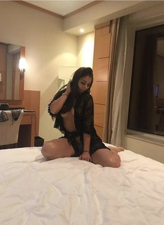 Amar - escort in Beirut Photo 5 of 5