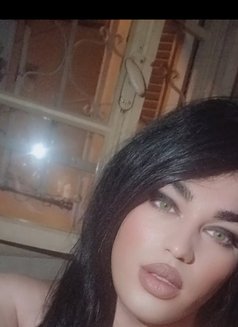 Amar - Transsexual escort in Beirut Photo 1 of 4