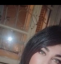 Amar - Transsexual escort in Beirut
