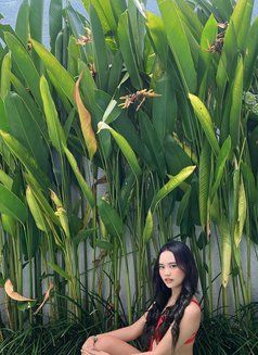 Amara - companion in Bali Photo 6 of 6