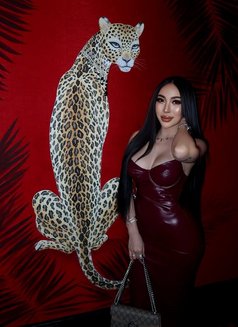 Amara New in Downtown (Good Service) - Transsexual escort in Dubai Photo 12 of 28