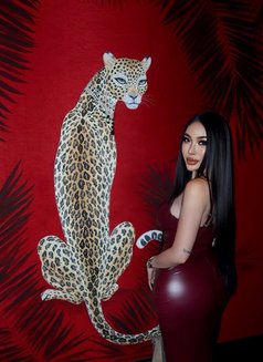 Amara New in Downtown (Good Service) - Transsexual escort in Dubai Photo 13 of 28