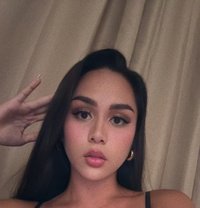 Amari26 - Transsexual escort in Leeuwarden