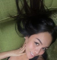 Amari26 - Transsexual escort in Leeuwarden