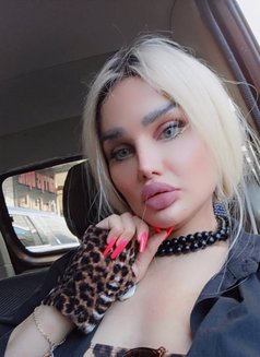Amarr - Transsexual escort in Beirut Photo 1 of 8
