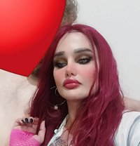 Amarr - Transsexual escort in Beirut