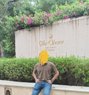 Amay Love - Male escort in Indore Photo 1 of 1