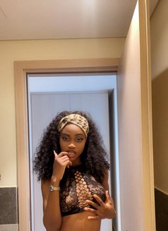 Amaya June Gambian - escort in Doha Photo 3 of 3