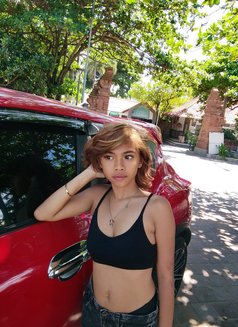 Sweat Alfira - escort in Bali Photo 8 of 15