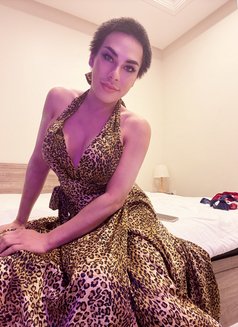 ⚜️AMAZING SHEMALE ⚜️69 ⚜️Both⚜️ - Transsexual escort in Al Manama Photo 23 of 27