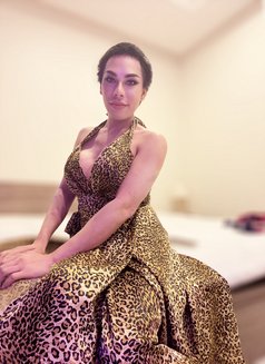 ⚜️AMAZING SHEMALE ⚜️69 ⚜️Both⚜️ - Transsexual escort in Al Manama Photo 25 of 27
