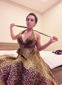 ⚜️AMAZING SHEMALE ⚜️69 ⚜️Both⚜️ - Transsexual escort in Al Manama Photo 27 of 27