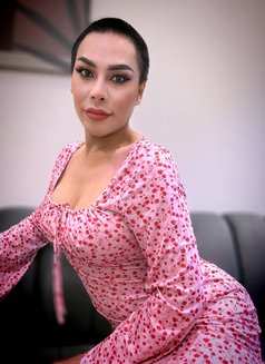 ⚜️AMAZING SHEMALE ⚜️69 ⚜️Both⚜️ - Acompañantes transexual in Khobar Photo 10 of 19