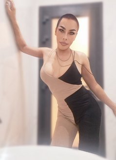 ⚜️AMAZING SHEMALE ⚜️69 ⚜️Both⚜️ - Acompañantes transexual in Khobar Photo 20 of 26