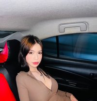 Amber Camshow/content & Meet - escort in Manila