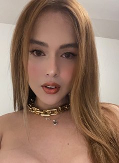 Amber - Transsexual escort in Al Ain Photo 6 of 12