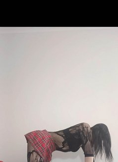Amber - Acompañantes transexual in Sydney Photo 5 of 5