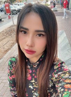 Amber Philippines - escort in Dubai Photo 5 of 6