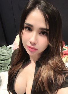 Amber Philippines - escort in Dubai Photo 4 of 6